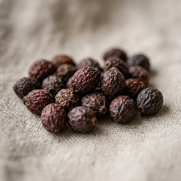 Saw Palmetto
